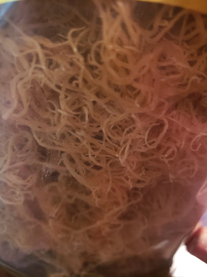 Raw Dried Sea Moss