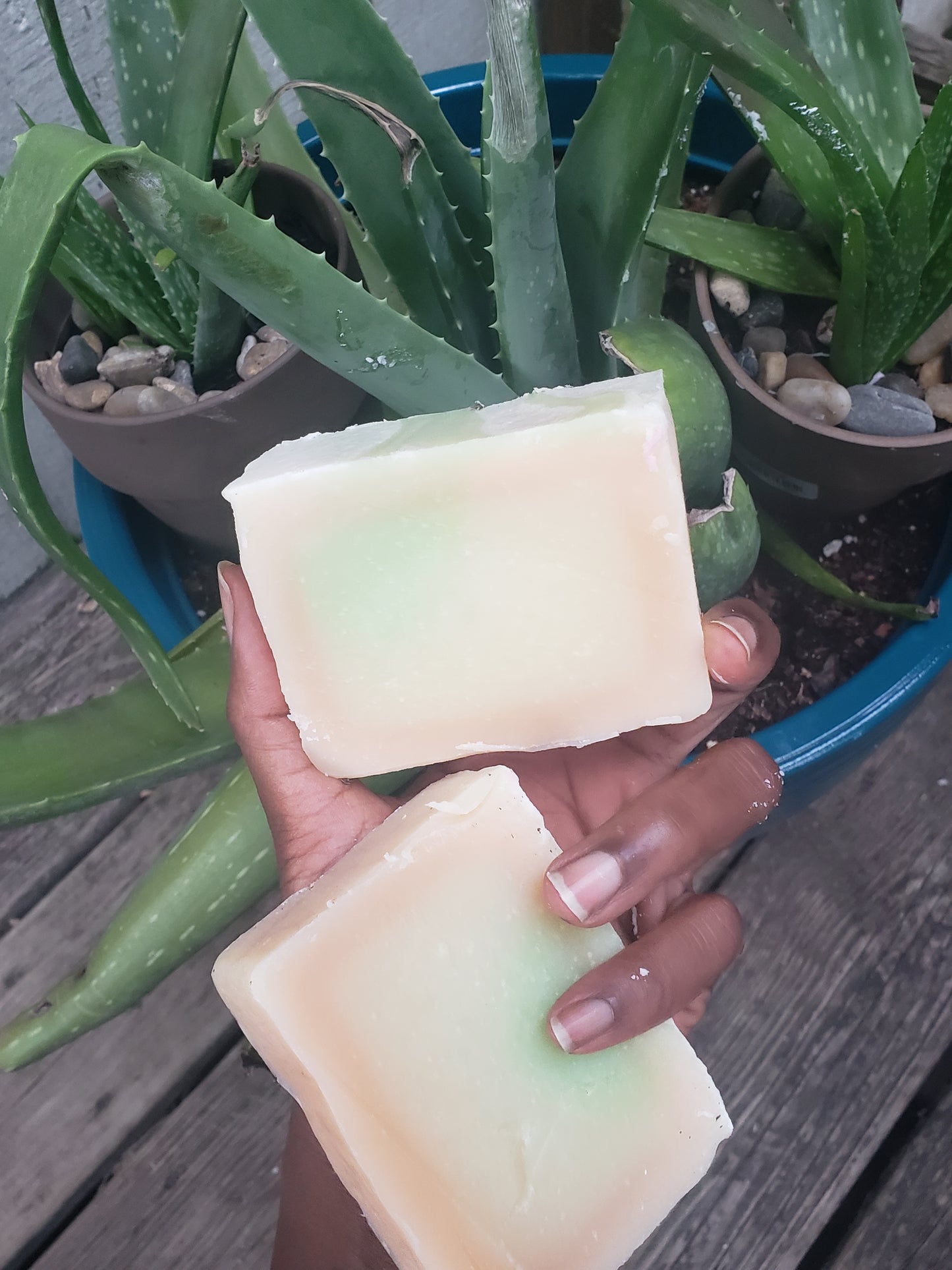 Aloe Soap Recipe Guide for Beginner Soap Makers