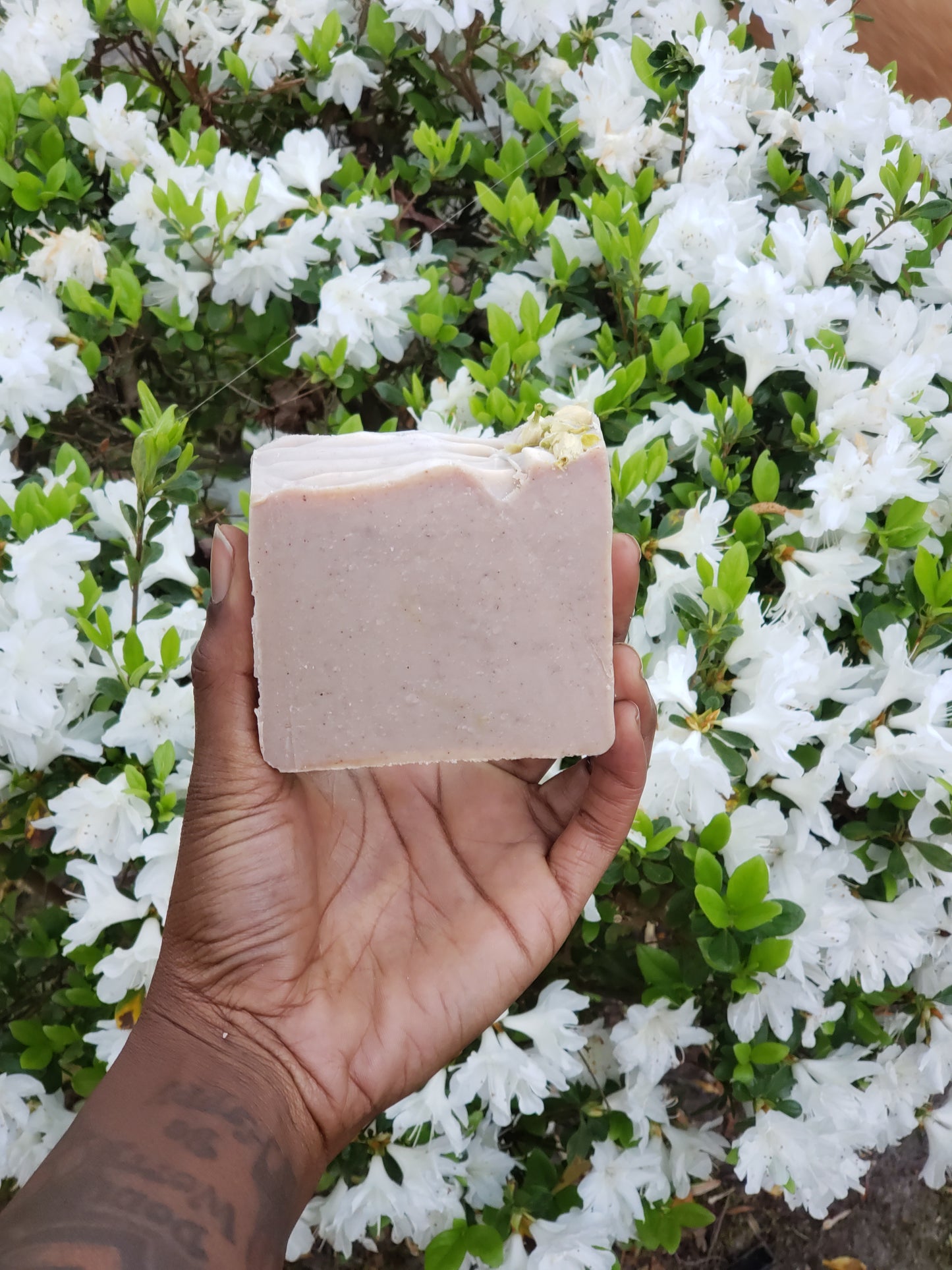 Sea Moss and Baobob Soap