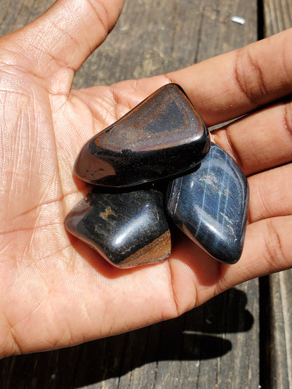 Blue Tigers eye